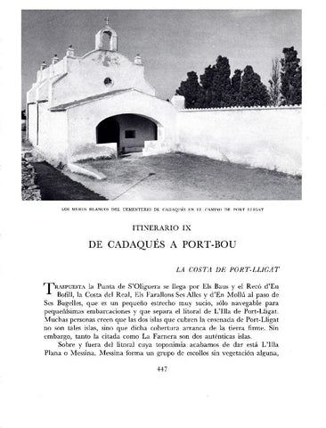 LAMINA 5829: Cementerio de Cadaques en el camino de Port Lligat