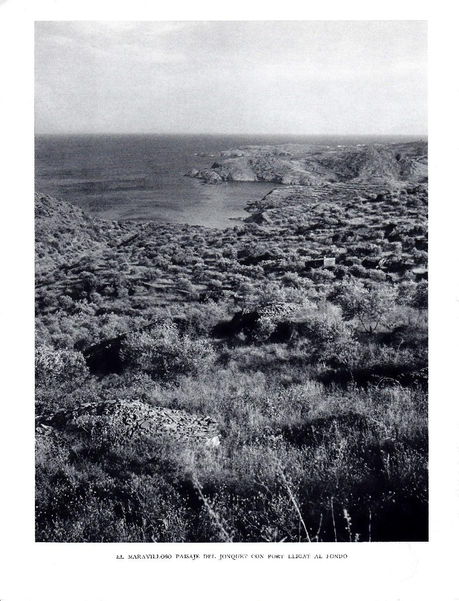 LAMINA 5833: Paraje del Jonquet con Port Lligat al fondo