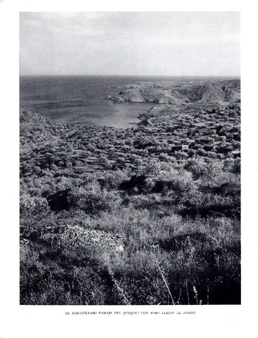 LAMINA 5833: Paraje del Jonquet con Port Lligat al fondo