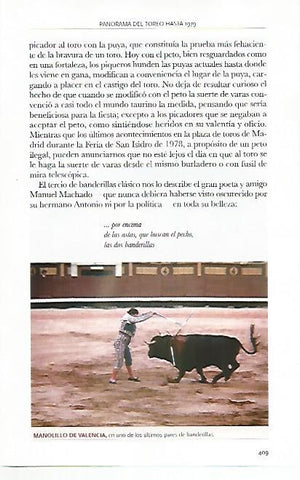 LAMINA COSSIO 50413: Manolillo de Valencia