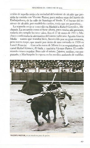 LAMINA COSSIO 50430: Vicente Pastor en un pase de pecho