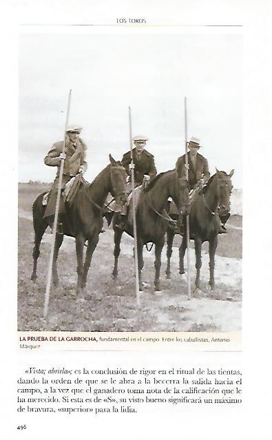 LAMINA COSSIO 50450: La prueba de la garrocha