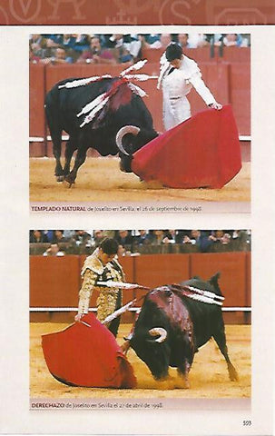 LAMINA COSSIO 50494: Natural de Joselito en 1998