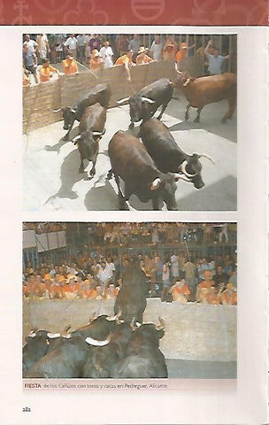 LAMINA COSSIO 50530: Fiesta de los Cañizos en Pedreguer Alicante