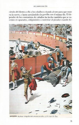 LAMINA COSSIO 50541: Division de plaza de la revista La Lidia 1893