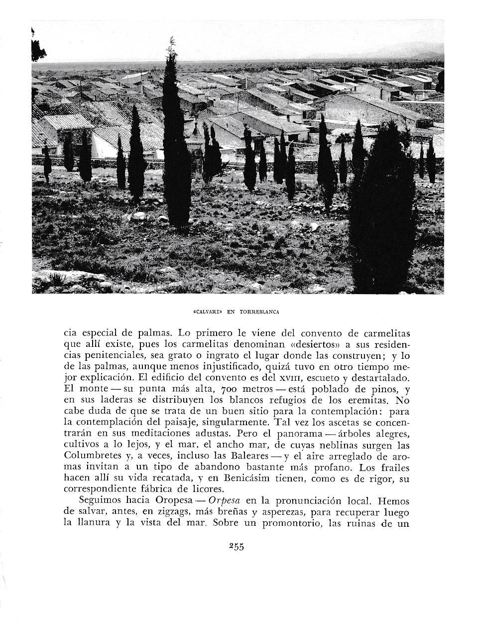 LAMINA 5974: Calvari en Torreblanca