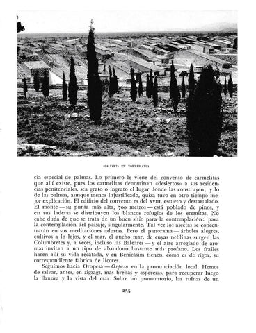 LAMINA 5974: Calvari en Torreblanca