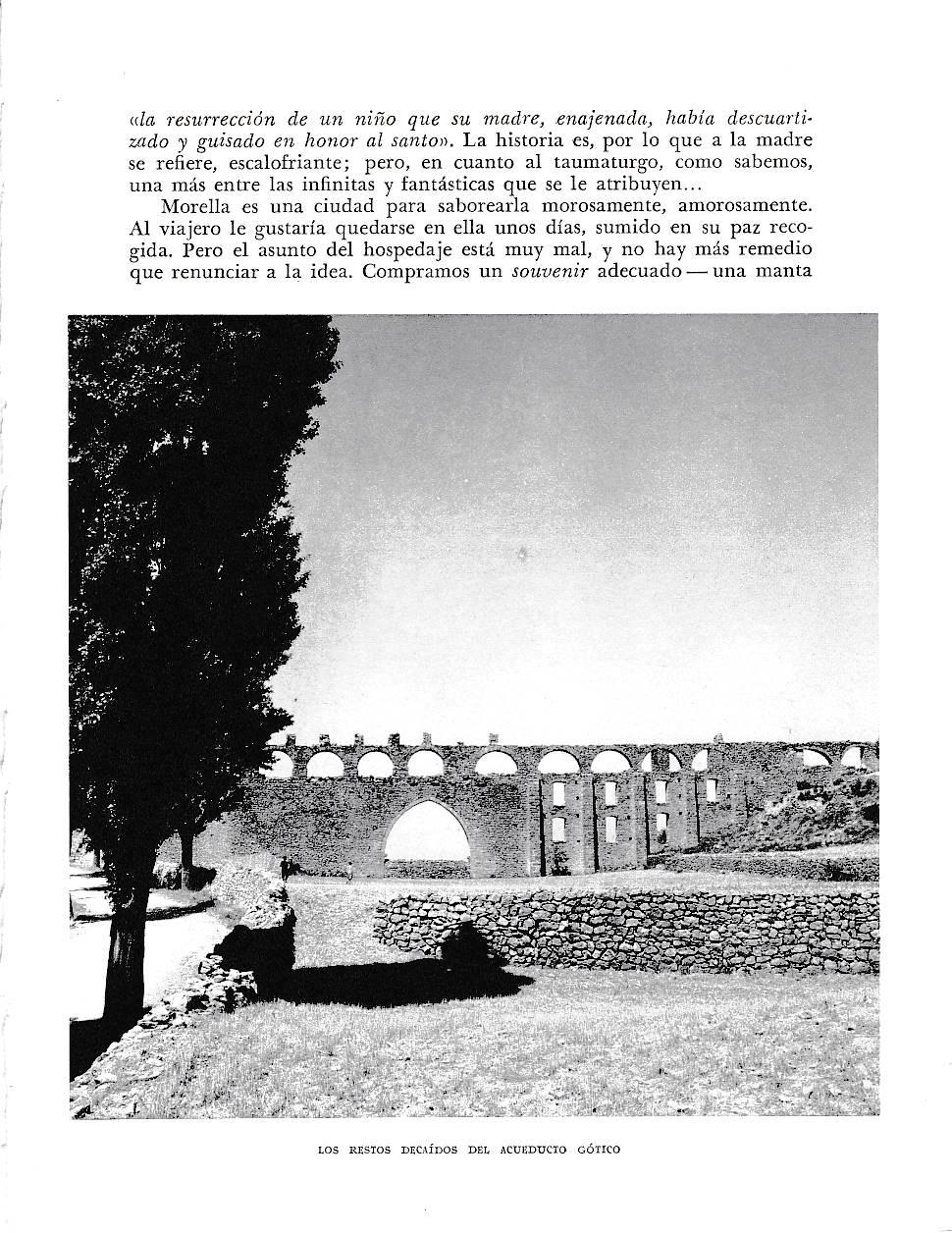 LAMINA 5993: Restos del Acueducto Gotico