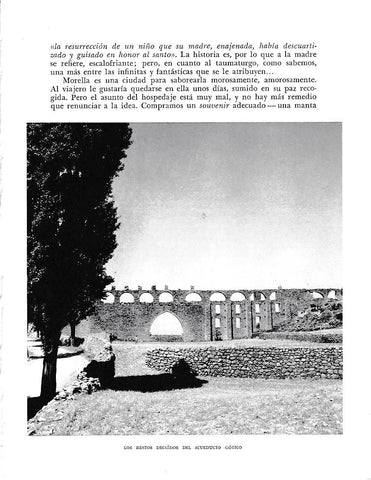 LAMINA 5993: Restos del Acueducto Gotico