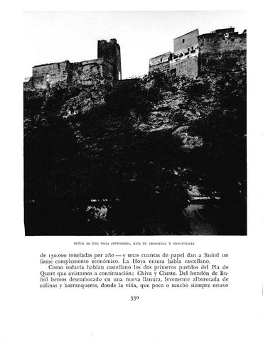 LAMINA 6010: Buñol rica en arboledas y manantiales