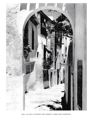 LAMINA 6039: Benidorm viejo y tradicional
