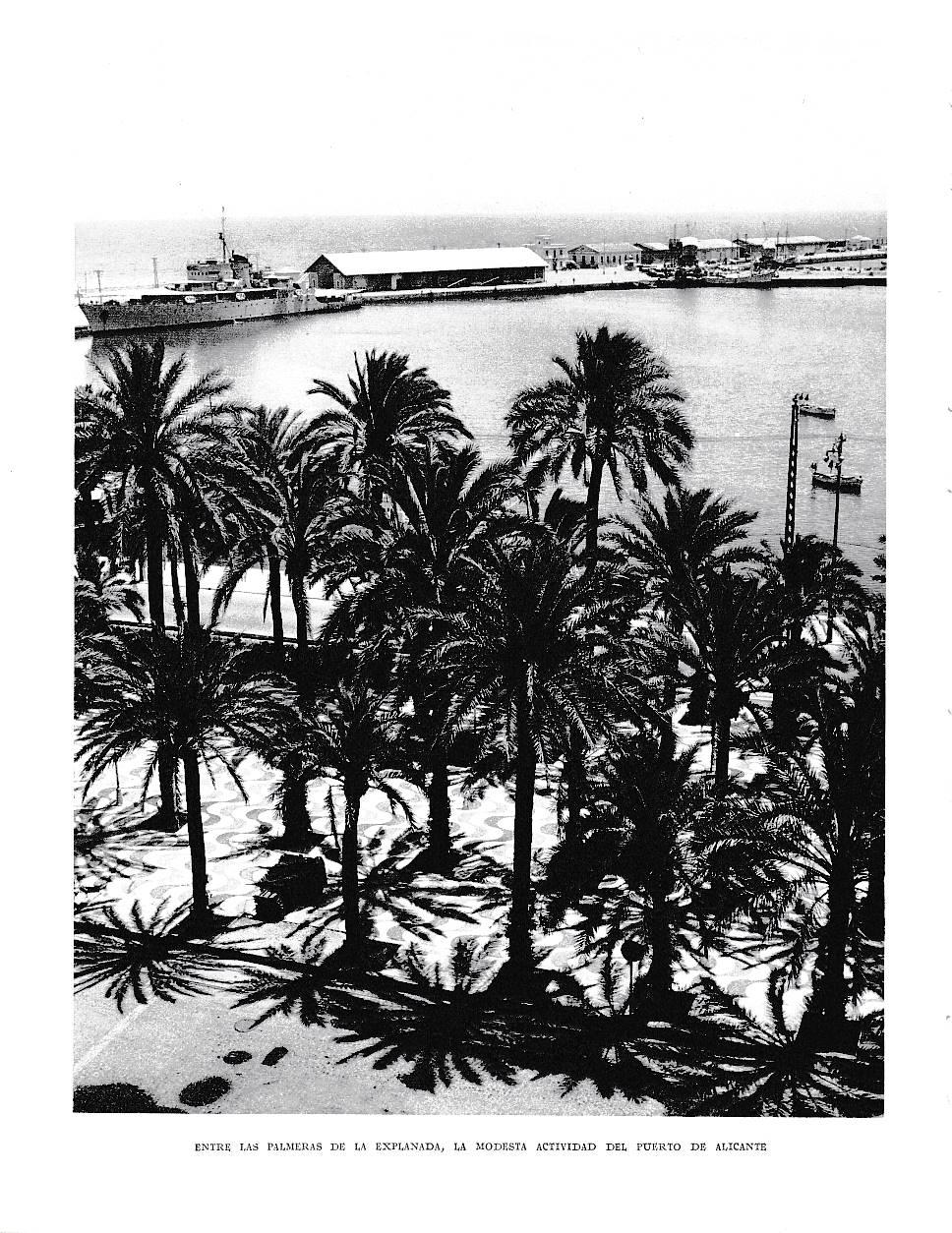 LAMINA 6043: Entre palmeras el puerto de Alicante