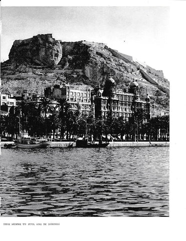 LAMINA 6045: La Explanada de Alicante