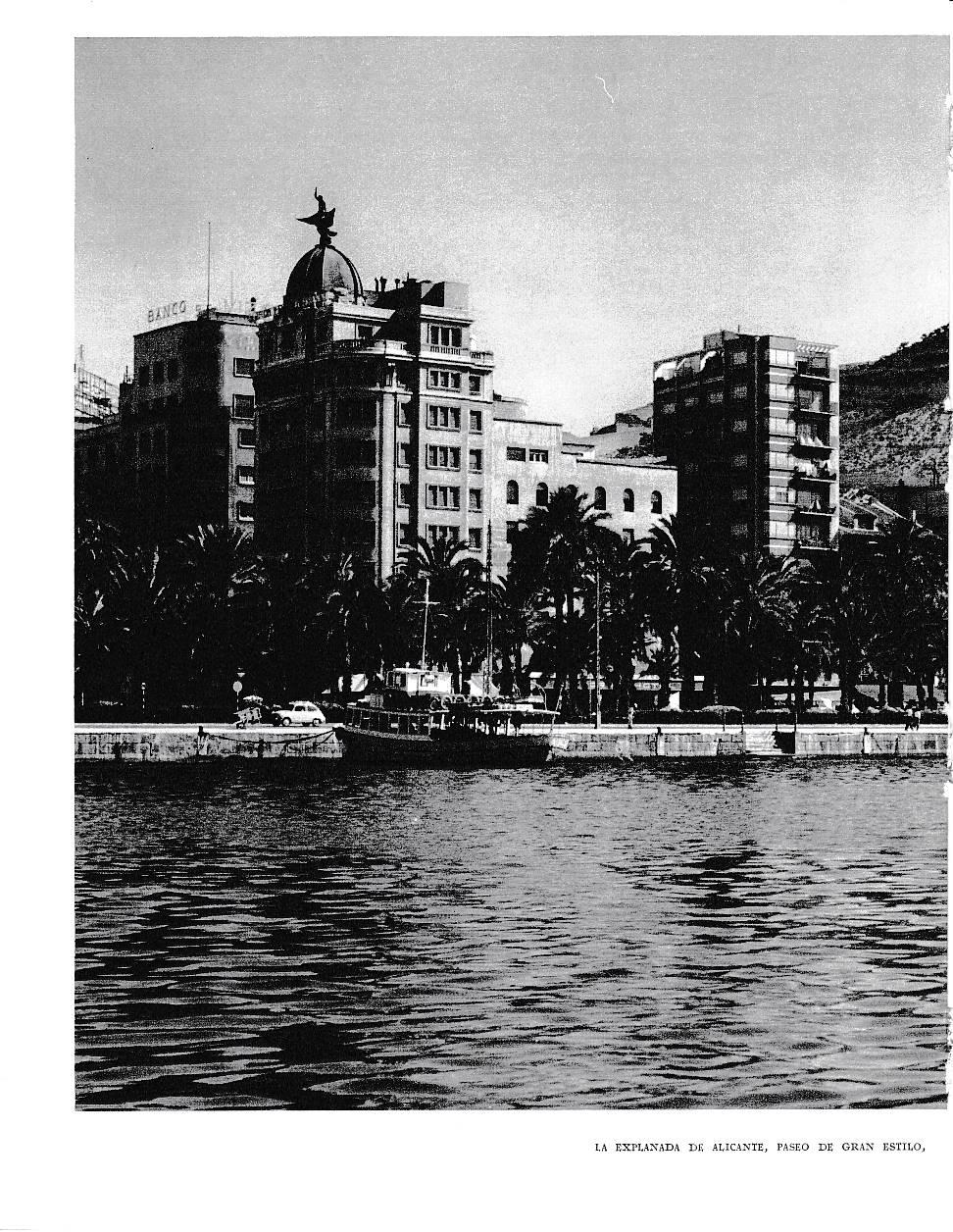 LAMINA 6046:  La Explanada de Alicante