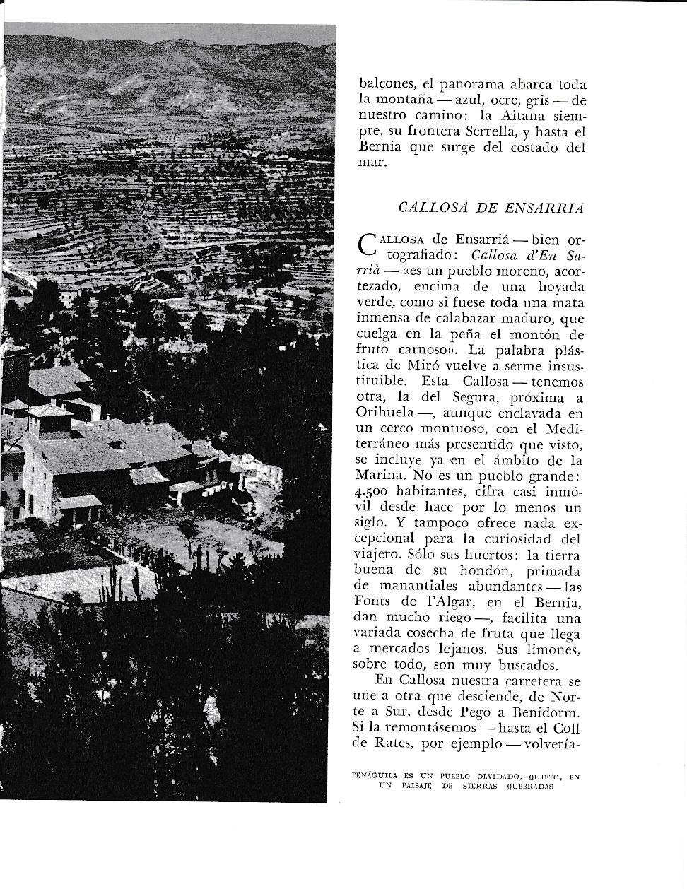 LAMINA 6056: Penaguila