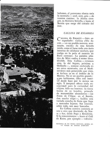 LAMINA 6056: Penaguila