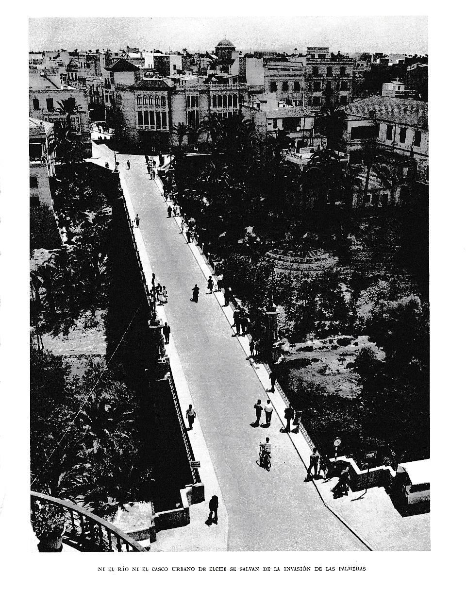 LAMINA 6067: Palmeras en el rio y casco urbano de Elche