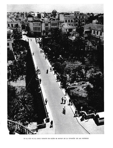 LAMINA 6067: Palmeras en el rio y casco urbano de Elche