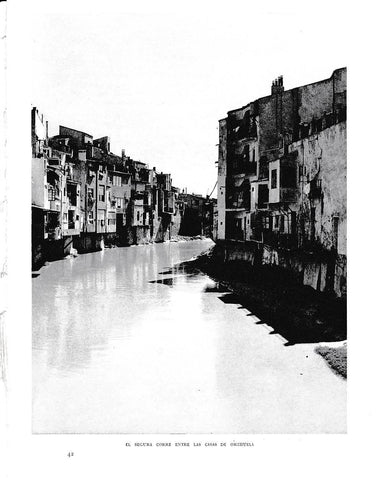 LAMINA 6072: El Segura entre las casas de Orihuela
