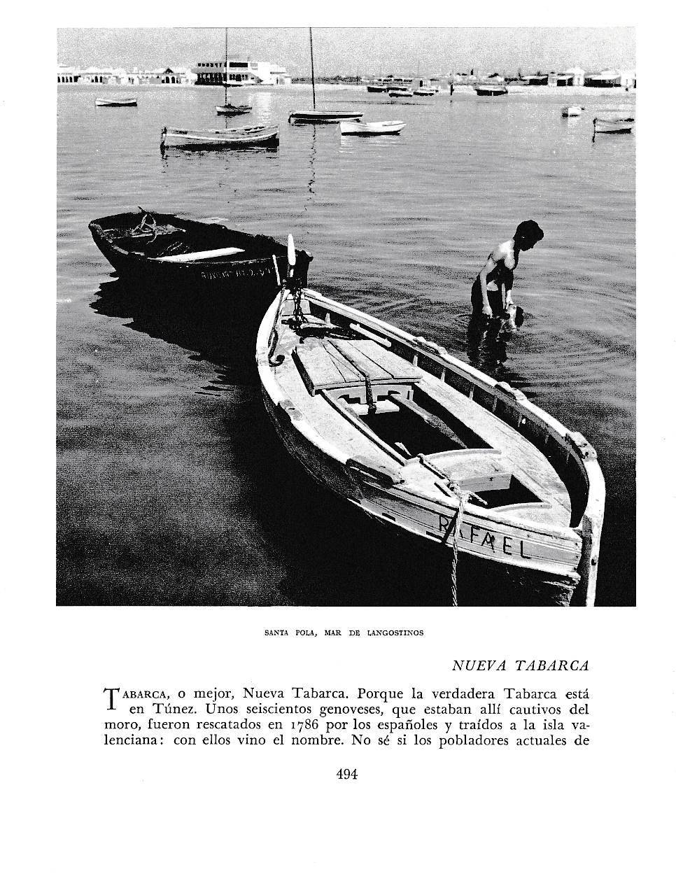 LAMINA 6077: Santa Pola mar de langostinos