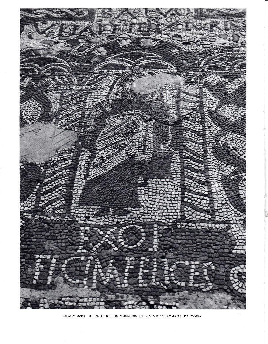 LAMINA 5659: Fragmento mosaico villa romana de Tossa