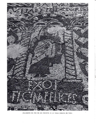 LAMINA 5659: Fragmento mosaico villa romana de Tossa
