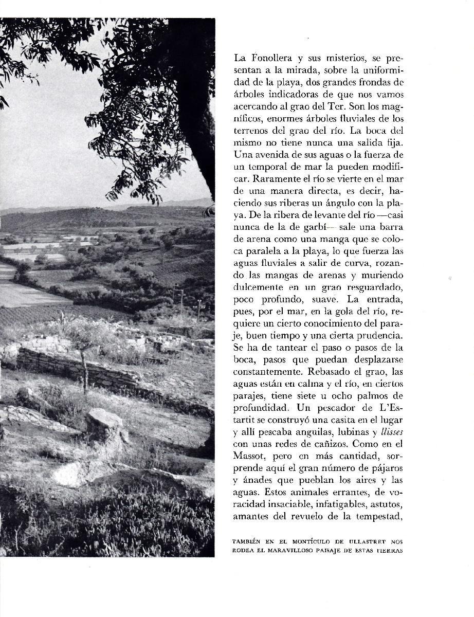 LAMINA 5769: Monticulo de Ullastret
