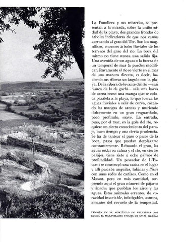 LAMINA 5769: Monticulo de Ullastret