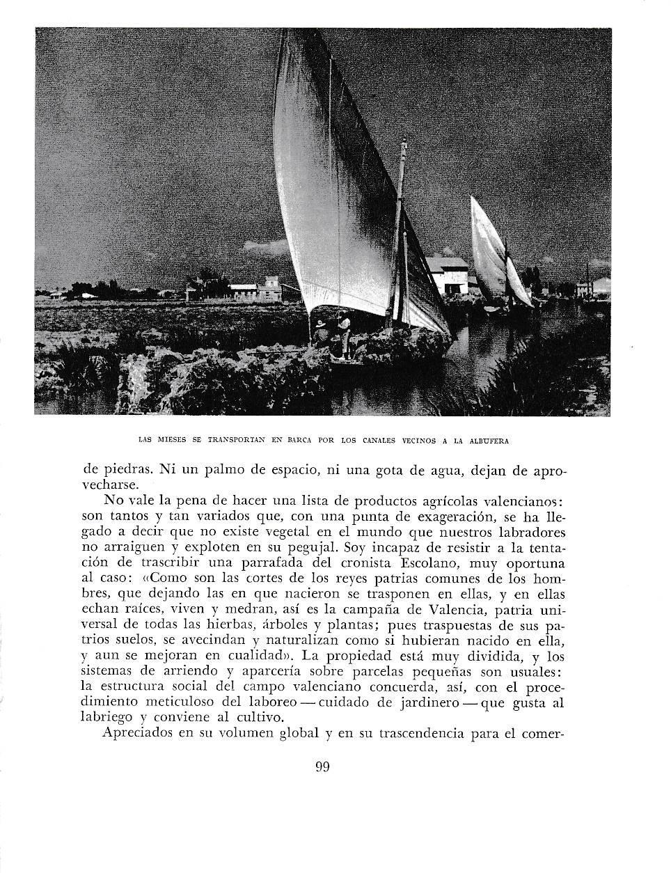 LAMINA 5898: Las mieses se trnasportan en barca a  la Albufera