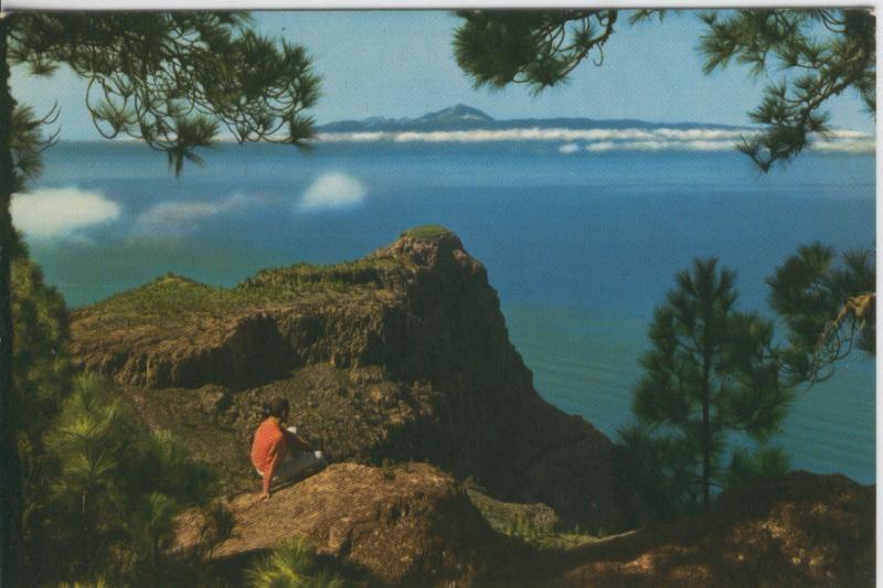 Postal 08114: Gran Canaria: Pinar de Tamadaba