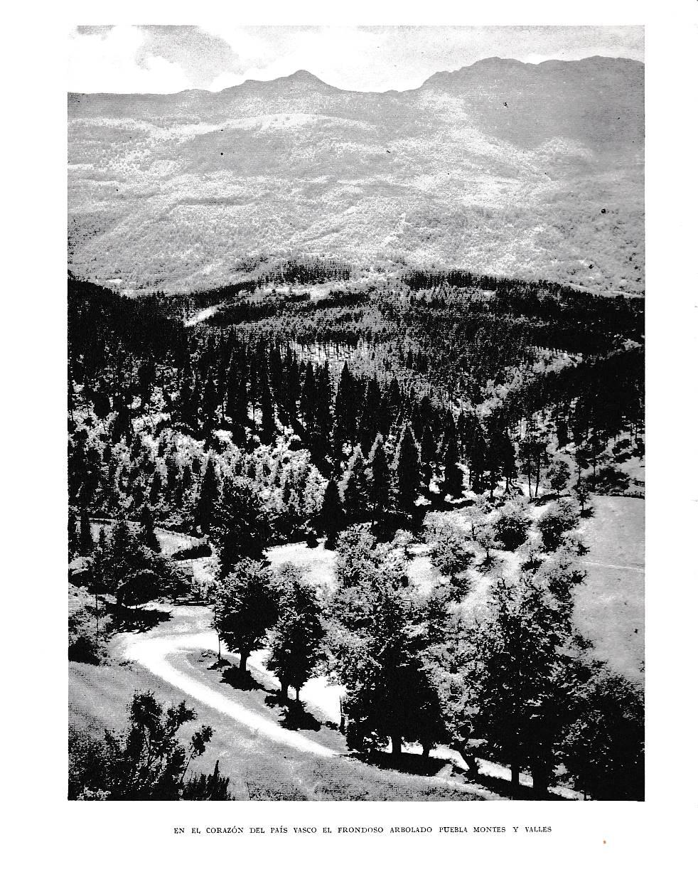 LAMINA 6082:  Arbolado en montes y valles
