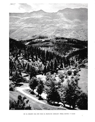 LAMINA 6082:  Arbolado en montes y valles