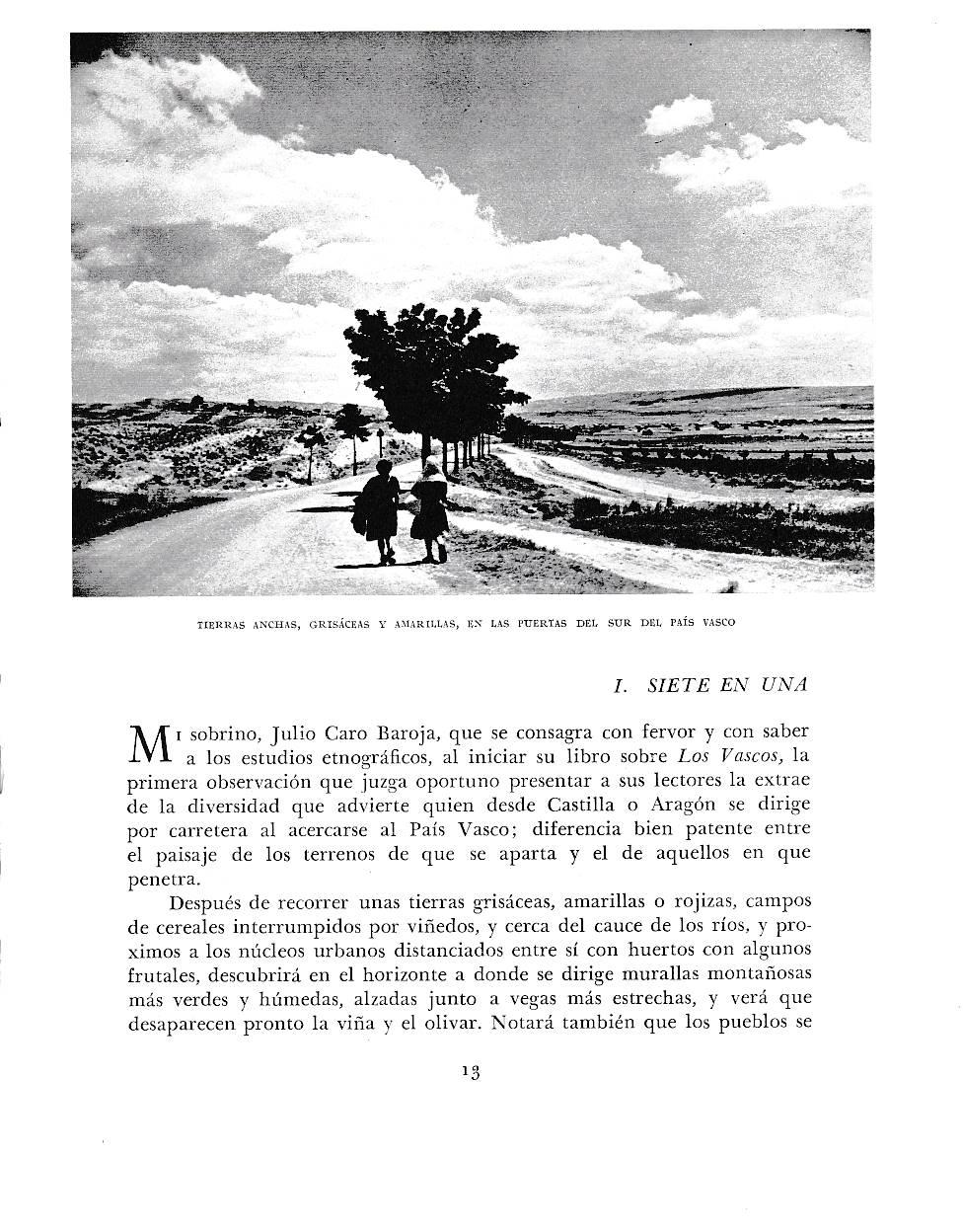 LAMINA 6083: Tierras anchas grisaceas y amarillas aal sur del pais vasco