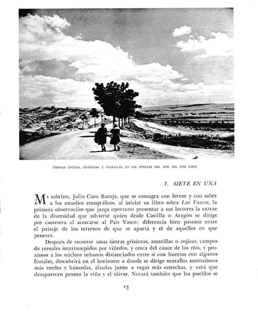 LAMINA 6083: Tierras anchas grisaceas y amarillas aal sur del pais vasco