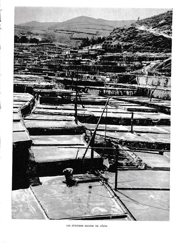 LAMINA 6095: Salinas de Arañas