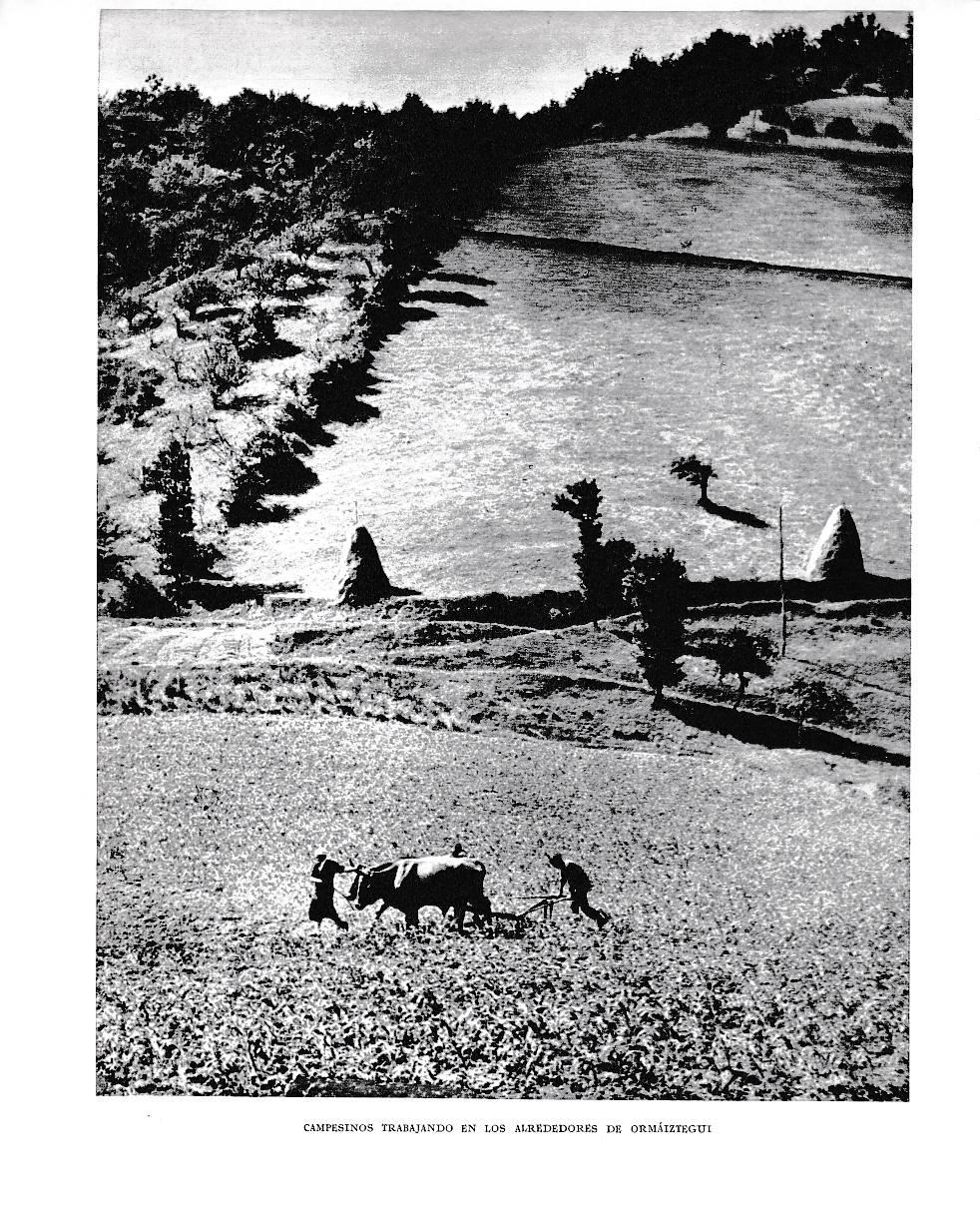LAMINA 6131: Campesinos en Ormaiztegui