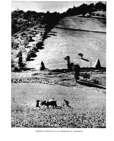 LAMINA 6131: Campesinos en Ormaiztegui