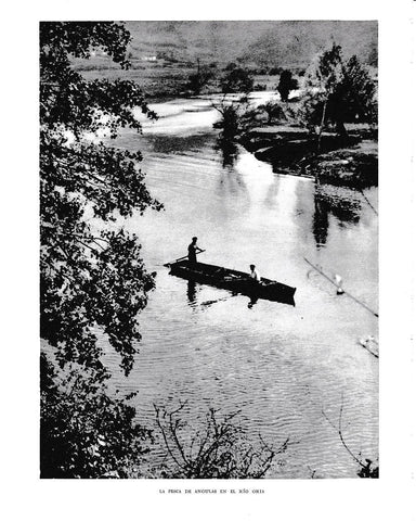 LAMINA 6143: La pesca de angulas en el rio Oria