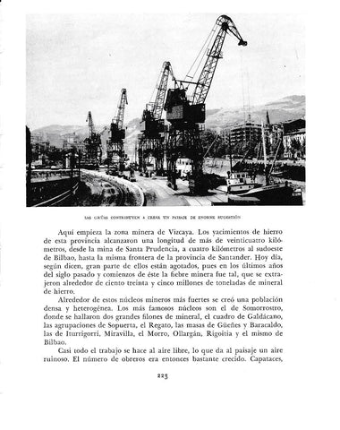 LAMINA 6182: Las gruas