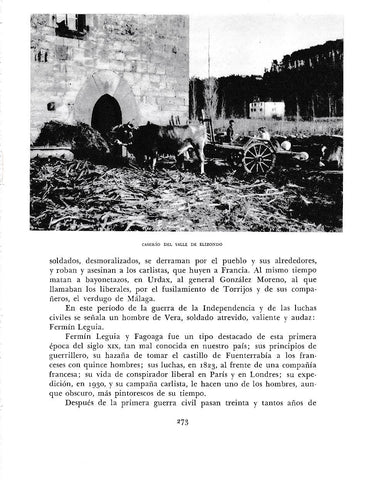 LAMINA 6204: Caserio valle Elizondo