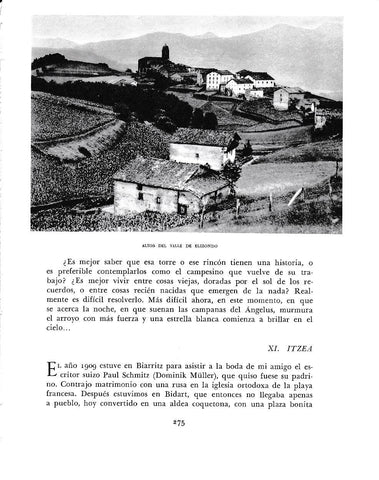 LAMINA 6205: Altos del valle de Elizondo