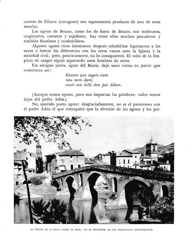 LAMINA 6225:  Puente de la reina sobre el Arga