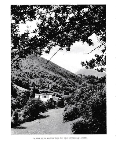 LAMINA 6277: Valle de los Alduides