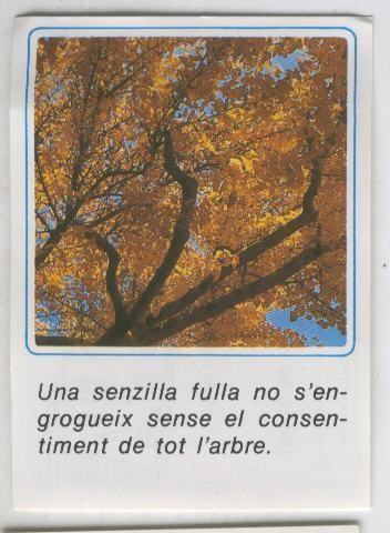 Cromos: Missatges D´alegria numerado 01