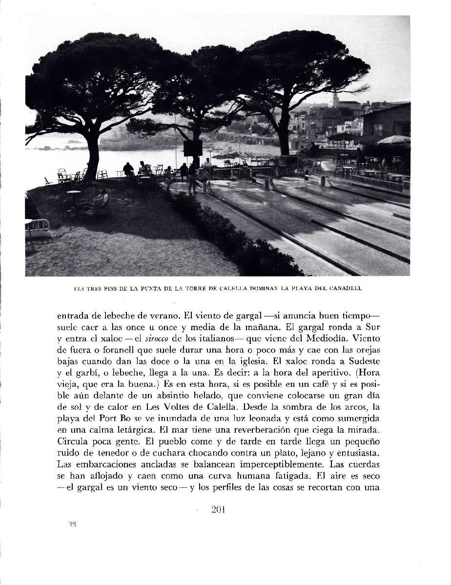 LAMINA 5723: El tres pinsde La Punta de La Torre y Playa del Canadell