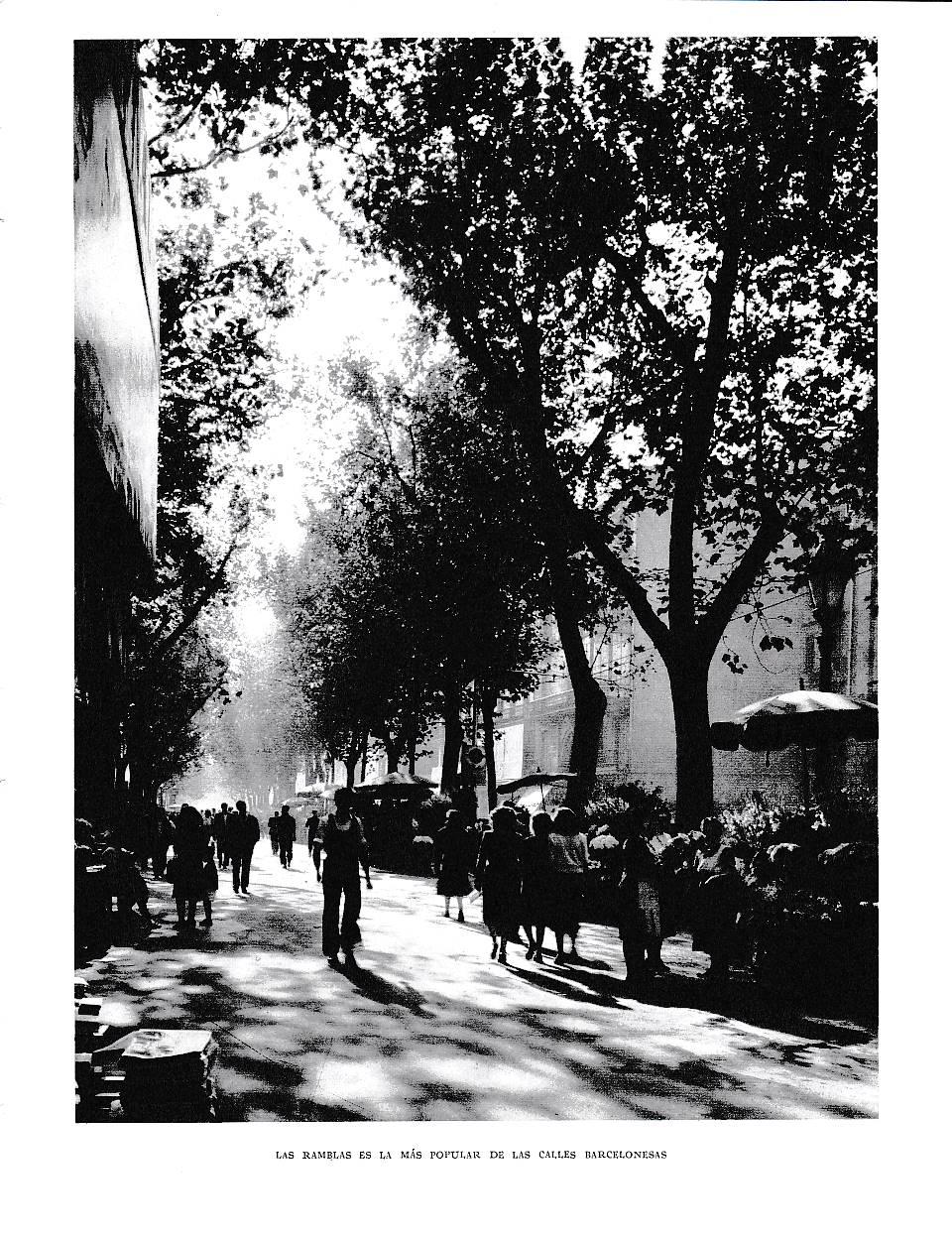 LAMINA 6319: Las Ramblas la mas popular de las calles Barcelonesas