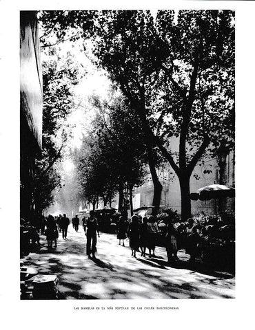 LAMINA 6319: Las Ramblas la mas popular de las calles Barcelonesas