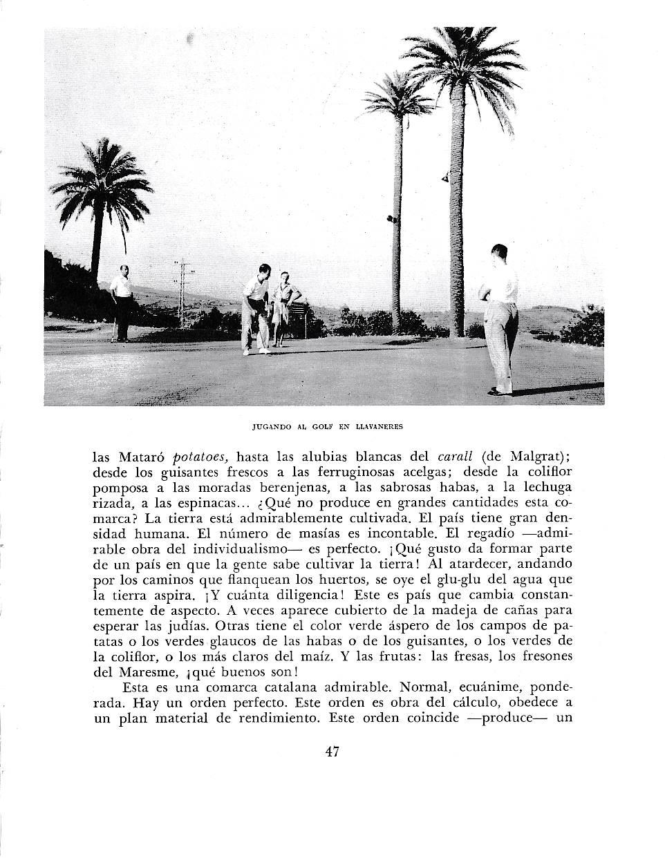 LAMINA 6335: El golf de Llavaneras