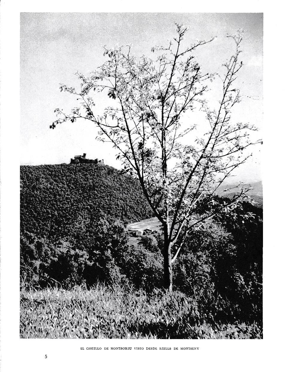 LAMINA 6336: El Castillo de Montsoriu visto desde Riells de Montseny