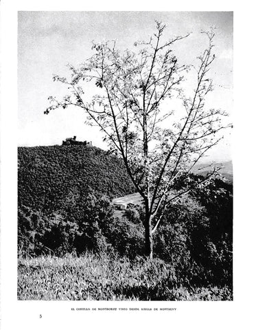 LAMINA 6336: El Castillo de Montsoriu visto desde Riells de Montseny